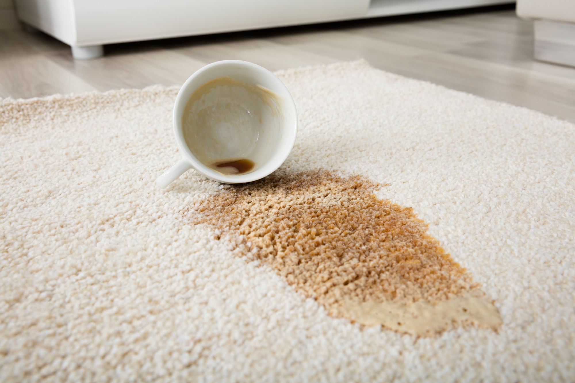 How to Remove Oil Stains from Carpet (Step-by-Step Guide)