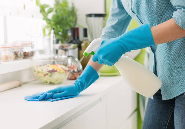 Regular Domestic Cleaning