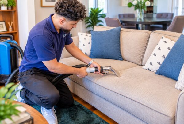 professional upholstery cleaning