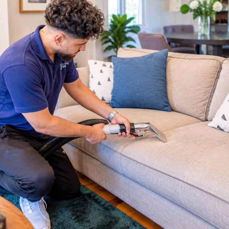 professional upholstery cleaning